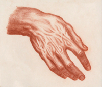 Human Hand 15 - Version 2